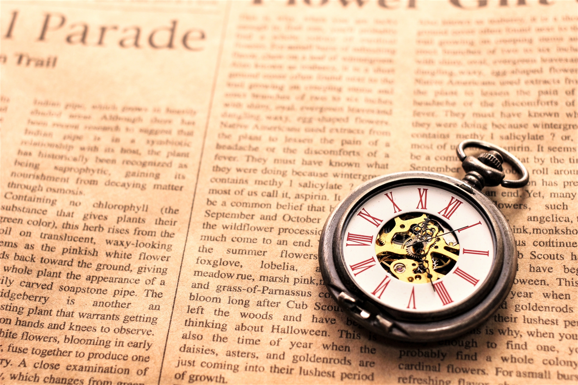 1141中文閱讀與思辨 五12(Chinese Reading and Thinking )