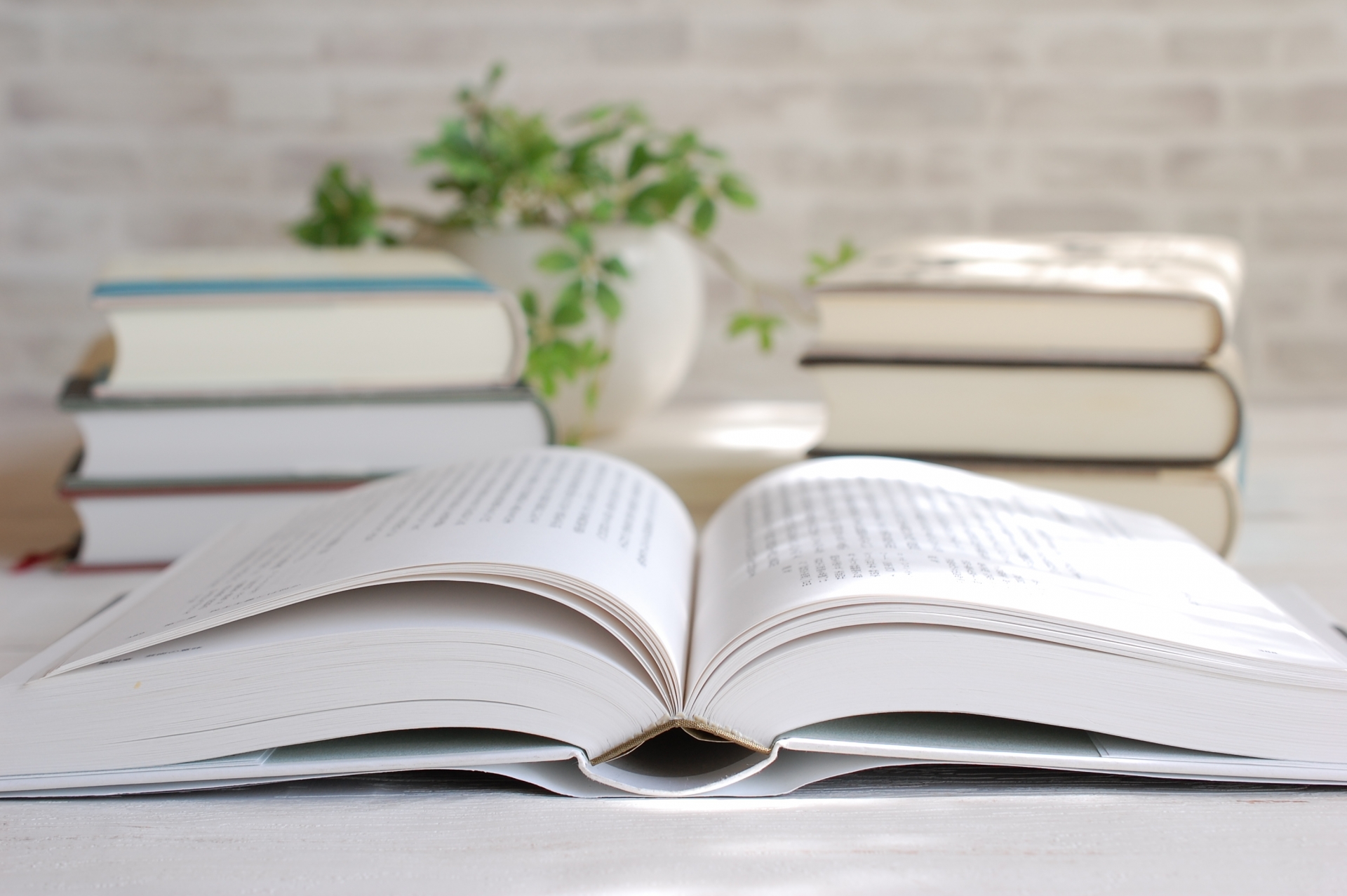 1142中文寫作與表達 一34(Chinese Writing and Expression E group)