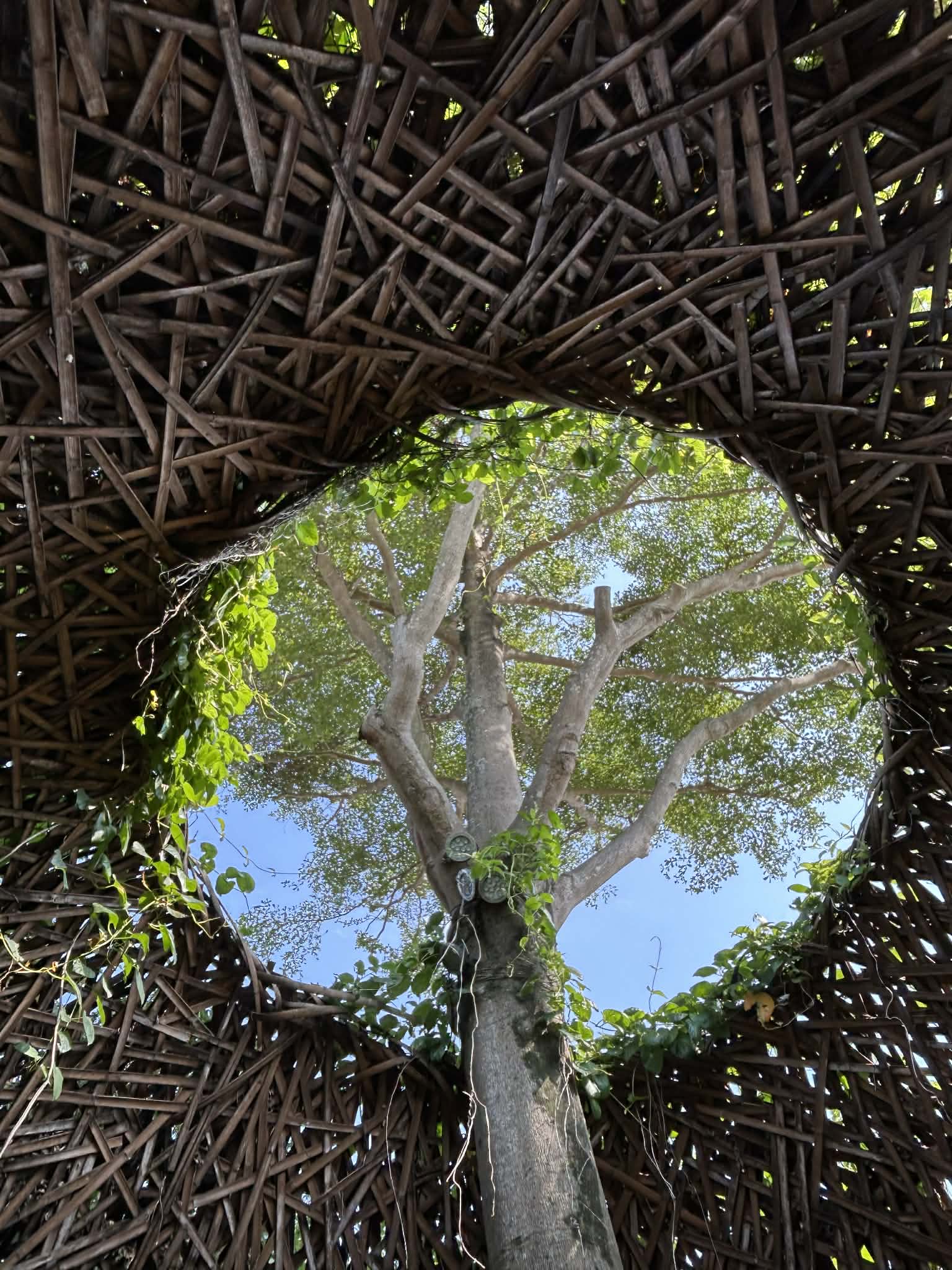 1142家庭生活教育方案設計研究(Studies in Program Design in Family Life Education)